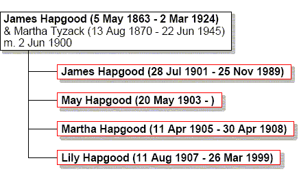 Family tree for James and Martha Hapgood